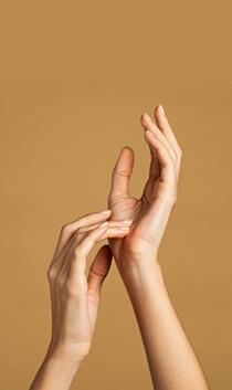 탑 메뉴 이미지1